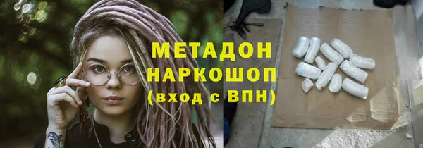 прущие грибы Абинск