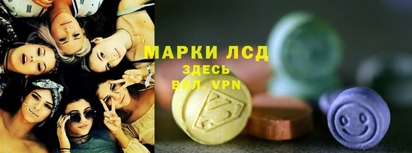прущие грибы Абаза