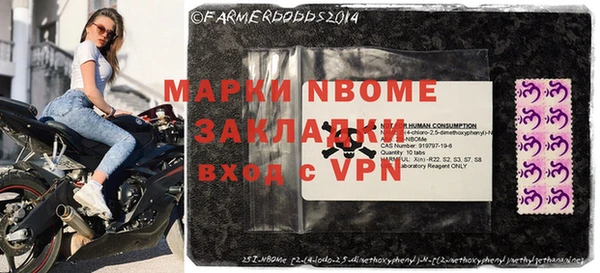 прущие грибы Абаза
