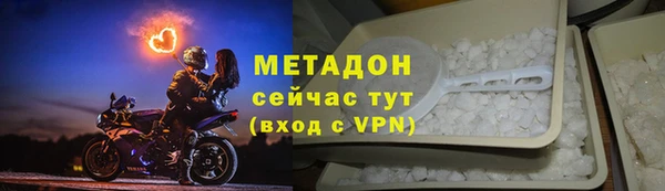 прущие грибы Абинск