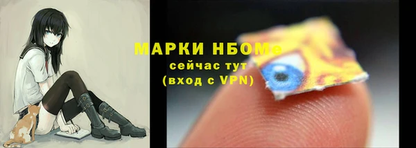прущие грибы Абаза