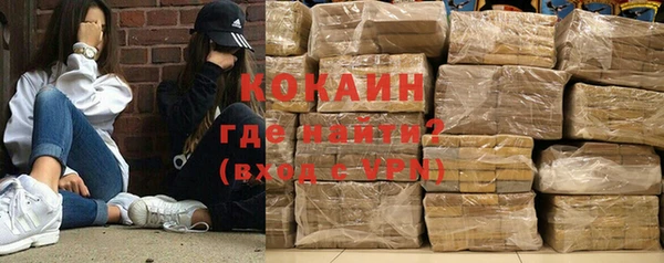 прущие грибы Абаза