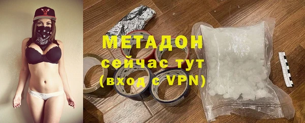 прущие грибы Абаза