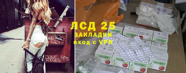 прущие грибы Абинск