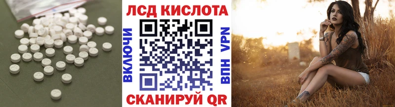 дарнет шоп  мега зеркало  ЛСД экстази кислота  Тайга 